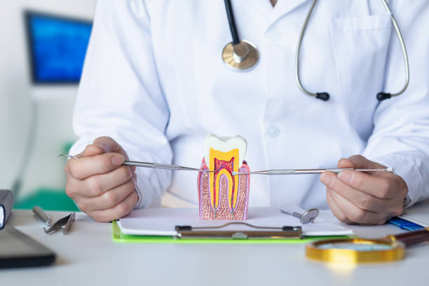 Best After-Hours Dental Care in Mahnomen, MN